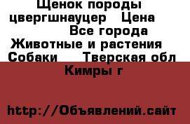 Щенок породы  цвергшнауцер › Цена ­ 30 000 - Все города Животные и растения » Собаки   . Тверская обл.,Кимры г.